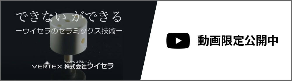 動画限定公開中